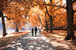 2025乐鱼体育在线热火主帅教练组件充足,决赛或迈向东部冠军之路