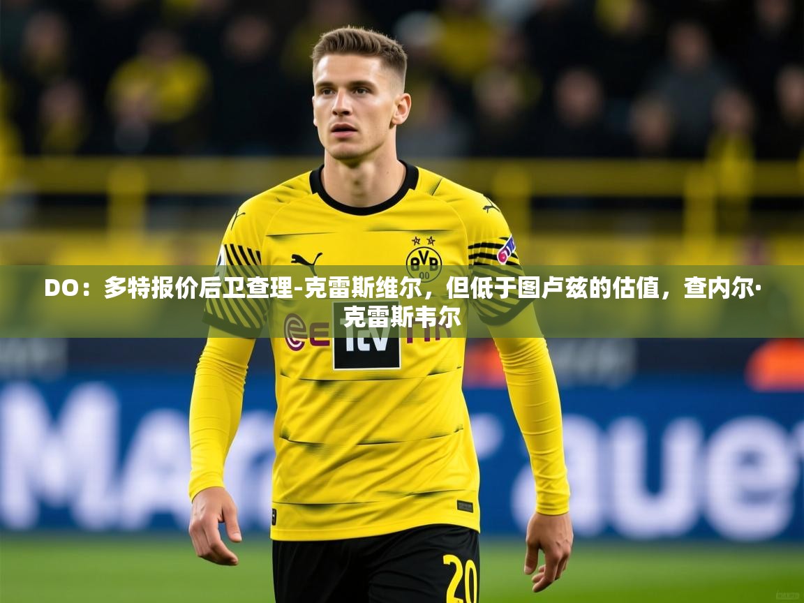 2025乐鱼体育在线官网DO：多特报价后卫查理-克雷斯维尔，但低于图卢兹的估值，查内尔·克雷斯韦尔  第1张