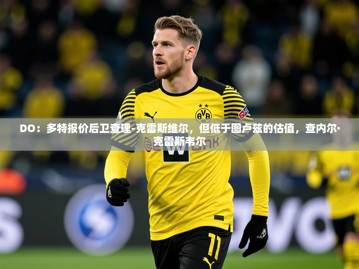 2025乐鱼体育在线官网DO：多特报价后卫查理-克雷斯维尔，但低于图卢兹的估值，查内尔·克雷斯韦尔  第4张
