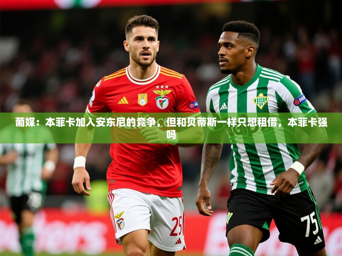 2025乐鱼体育在线官网葡媒：本菲卡加入安东尼的竞争，但和贝蒂斯一样只想租借，本菲卡强吗  第2张