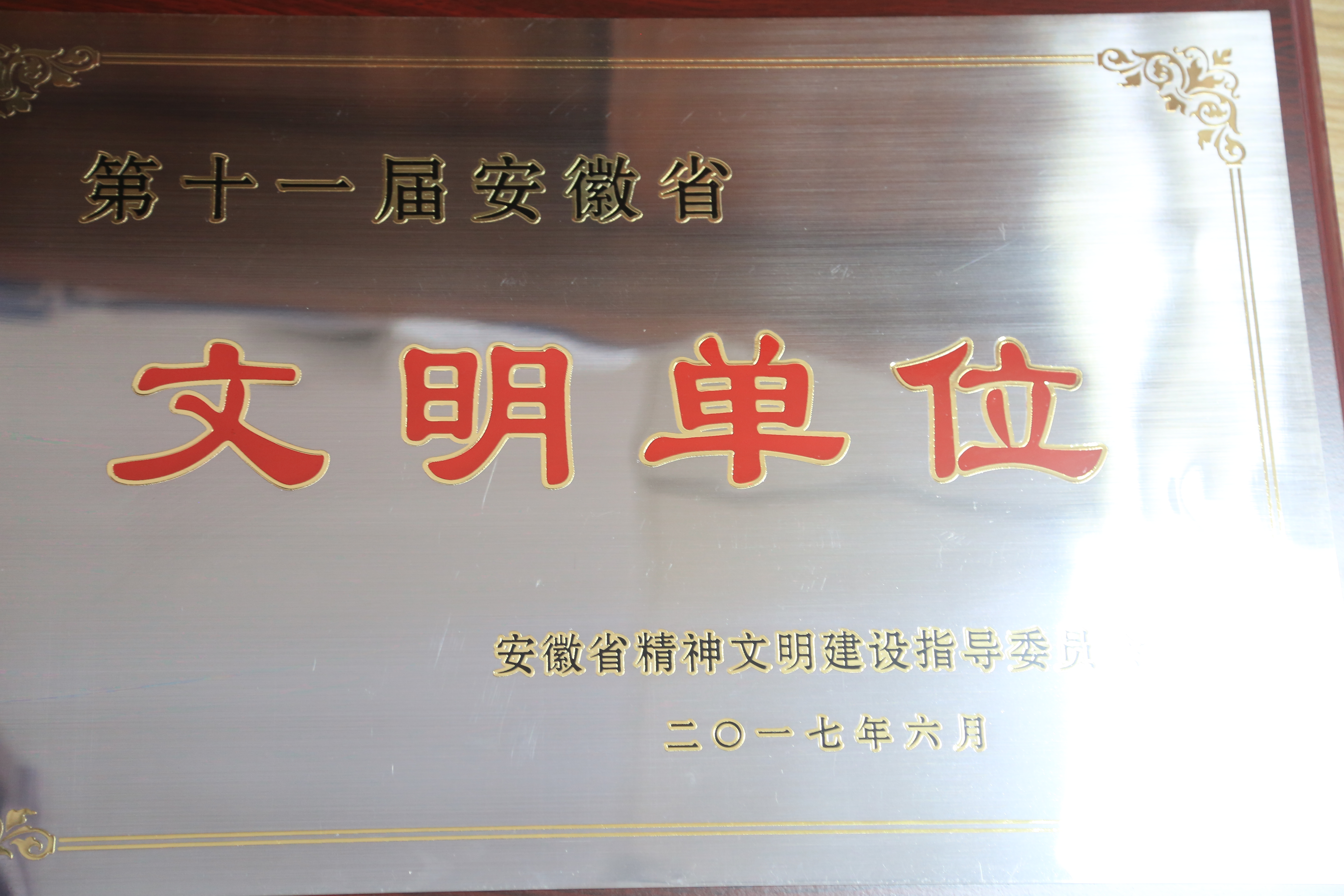 乐鱼体育入口-关于马鞍山文明主场对阵宿迁松鹤，实力对比悬殊的信息